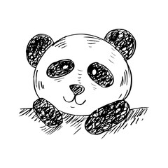 Sketch panda face. Hand drawn illustration. © Handini_Atmodiwiryo