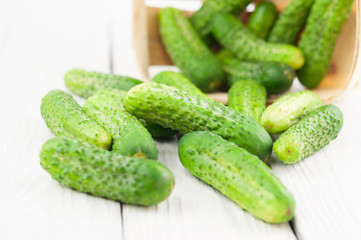 Many fresh green cucumbers scattered from wicker basket on old white wooden planks