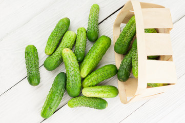 Many fresh green cucumbers scattered from wicker basket on old white wooden planks