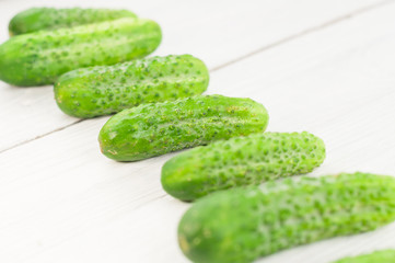 Many fresh green cucumbers on rustic white background