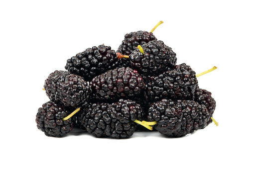 Bunch of black mulberry isolated on white background