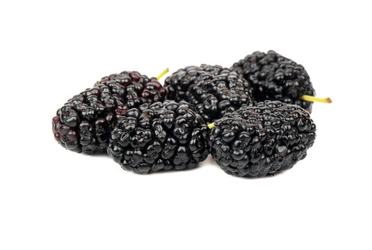 Few black mulberries on a white background