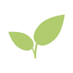 plant leaves icon image vector illustration design 