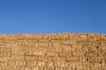 Wall of straw pallets