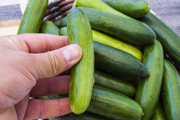 Natural and organic tomatoes and cucumbers to consume and human health, natural vegetables
