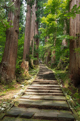 羽黒山にある出羽三山神社の神を祀る三神合祭殿の参道である杉並木と石段はミシュラングリーンガイドに選ばれている。