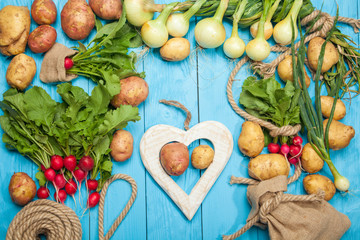 Fresh organic vegetables on wooden background