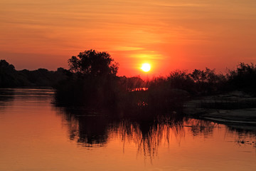 Fototapeta premium Sunset with silhouetted trees reflected in the water, Zambezi river, Namibia.