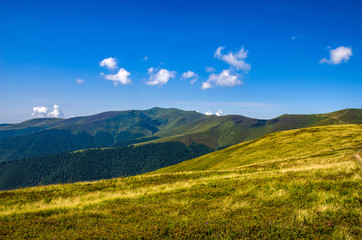 Background landscape with Ukrainian Carpathian Mountains in the Pylypets