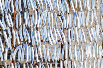 Fototapeta premium Trocken Fisch Struktur