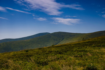 Background landscape with Ukrainian Carpathian Mountains in the Pylypets
