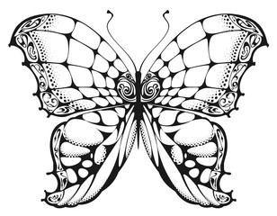 Butterfly black and white drawing