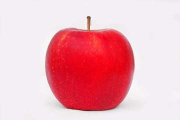 Red apple on a light gray background