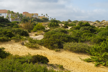 Fototapeta na wymiar Sand dunes between hotels and beach of La Barrosa in Sancti Petri, Cadiz, Spain
