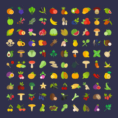 Set Vector Illustration of Berries, Fruits, Vegetables and Mushr