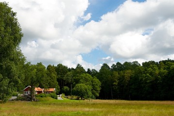 Fototapeta na wymiar Swedish landscape