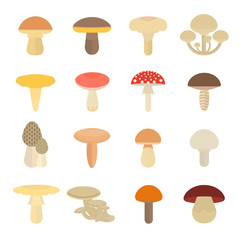 Set Vector Illustration of Mushrooms