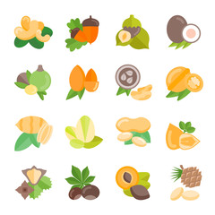 Set Vector Flat Icons of Nuts