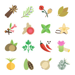 Set Vector Illustration of Spice