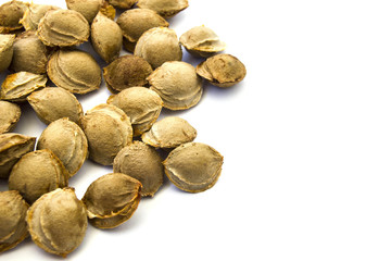 Apricot kernels, raw material of the pharmaceutical industry pictures of bitter apricot kernel,