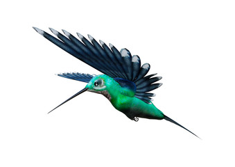 3D Rendering Humming Bird on White