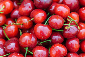 Close up of pile of fresh cherries