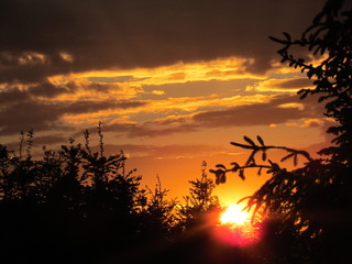 Couch&eacute; de soleil