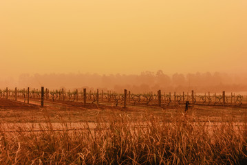 hazy dust storm in the Hunter Valley