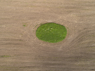 Остров, зеленой травы, среди вспаханного поля, вид сверху