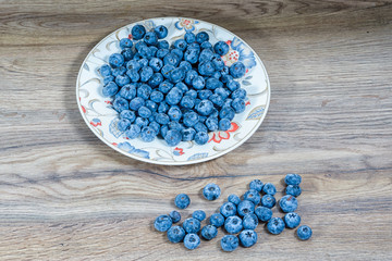 bowl with flowers full of fresh juicy blueberries