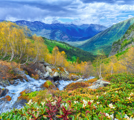 Waterfall in the mountains Arkhyz. The beautiful summer landscape with forest mountain and water stream
