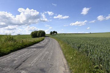 Fototapeta premium pejzaż