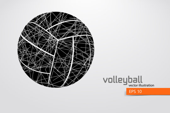 Silhouette of volleyball ball.