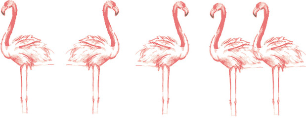 Color sketch of pink flamingos
