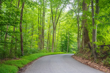 Road Through Susquehanna