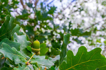 Obraz premium La Grajera II-46