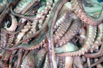 Fototapeta premium Pile of squid tentacles on ice, a slender flexible limb or appendage in an animal. especially around the mouth of an invertebrate, used for grasping, moving about, or bearing sense organs.