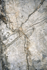 detail old limestone rock