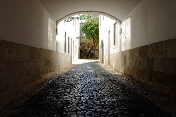 Street View of Passage on Cobble Stone 