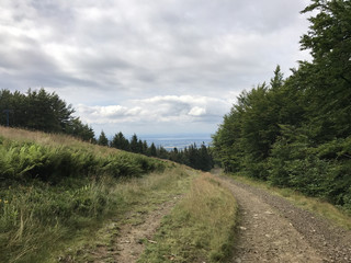 Fototapeta na wymiar Path on the Szyndzielnia mountain
