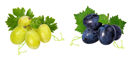     grapes isolated on the white