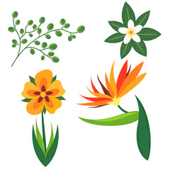Set of tropical flowers and leaves