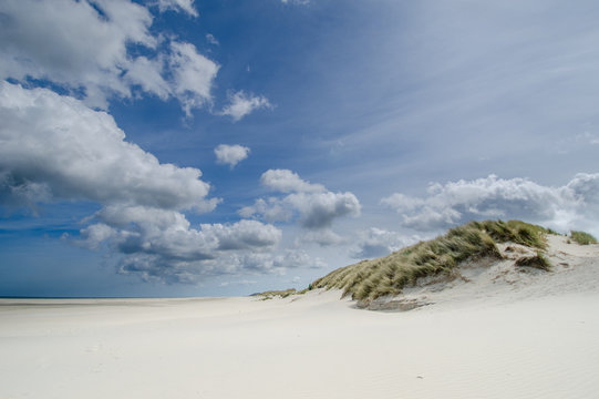 Coast at Terschelling. Nice green dunes