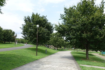 夏の公園散歩