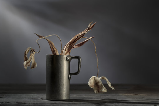 Still Life with withered Flowers