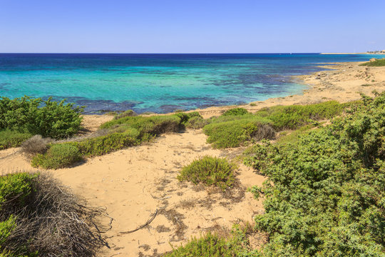 The Most Beautiful Beaches Of Italy: Campomarino Dune Park.Summer Relax:umbrella Isolated Between Sea Dunes,Taranto (Apulia). The Protected Area Extends Along The Entire Coast Of The Town Of Maruggio.