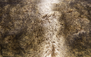 Naklejka premium Natural deer skin