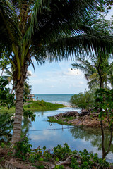 Scenics View of River Amidst Palm Trees Against Sea