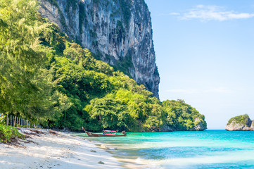 Scenics View of Tropical Island Beach