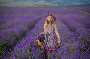 Fototapeta na wymiar Beautiful girl in a field of lavender on sunset. Beautiful girl in amazing dress walk on the field of lavender.